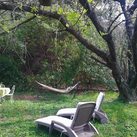 Joli Appartement Dans Villa Entre Nice Et L'Arriere Pays Castagniers Esterno foto