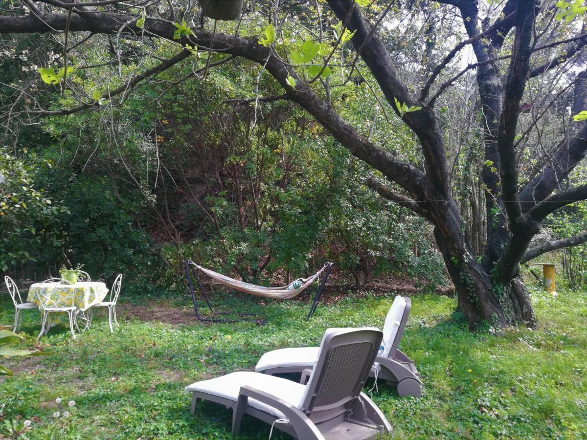 Joli Appartement Dans Villa Entre Nice Et L'Arriere Pays Castagniers Esterno foto