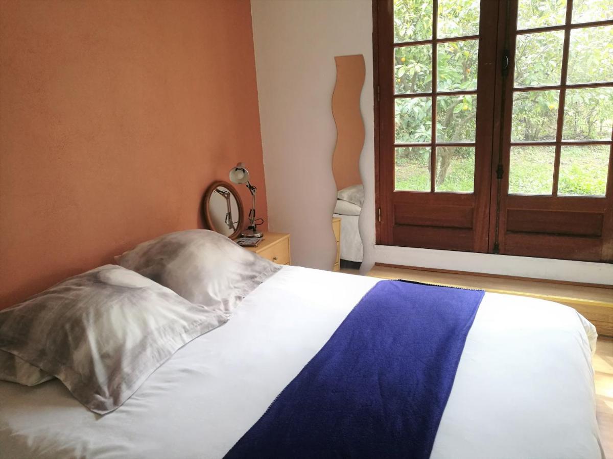 Joli Appartement Dans Villa Entre Nice Et L'Arriere Pays Castagniers Esterno foto